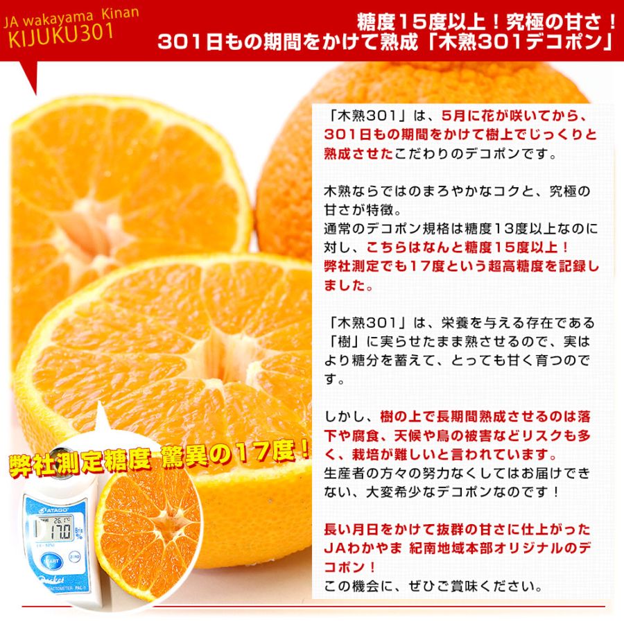 和歌山県 JAわかやま紀南地域本部 木熟301 デコポン 4Lから3Lサイズ 秀
