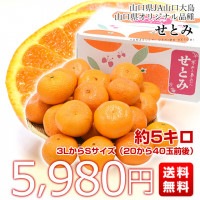 山口県産 JA山口大島 山口県オリジナル品種 せとみ 3LからS 5キロ（20