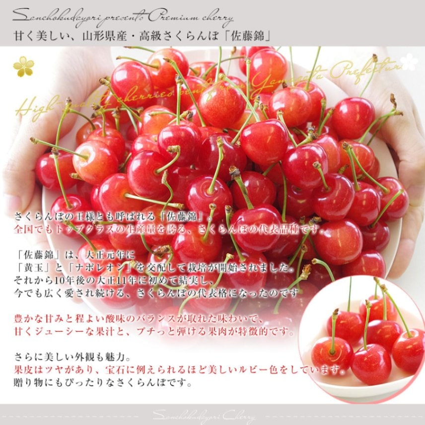 【ほぼ未使用美品392点】佐藤龍我 グッズ 特秀さくらんぼ佐藤錦[山形セレクション]600gバラ詰Lサイズ以上
