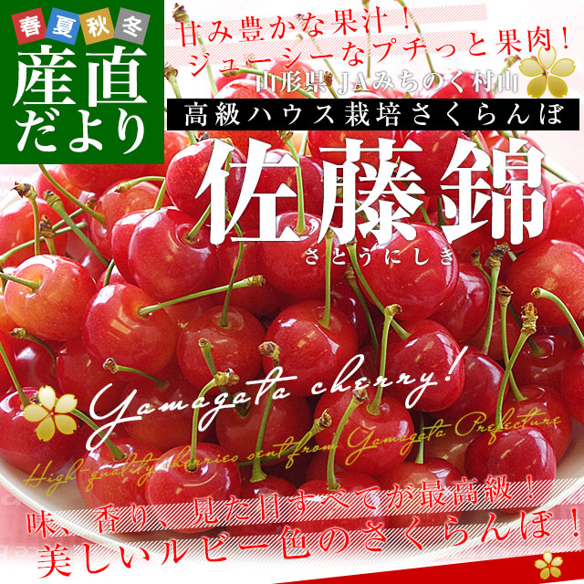 山形県産 JAみちのく村山 ハウス栽培さくらんぼ「佐藤錦」LからM