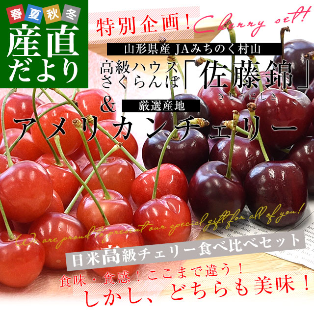 チェリー食べ比べギフトBOX 山形県JAみちのく村山 ハウス栽培