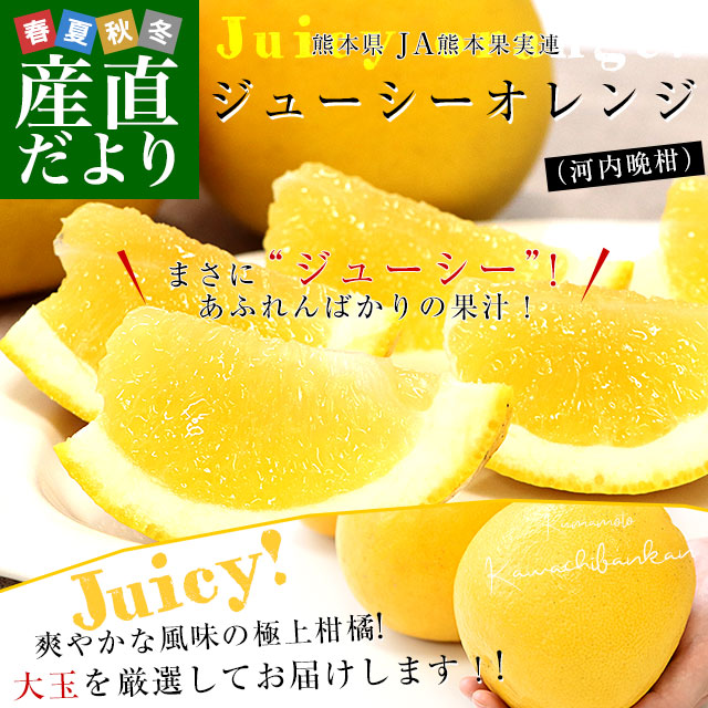 ���ܸ� JA���̼ܲ�Ϣ ���塼���������(�����մ�) L����M������ �Ľ��� ��7.5���� ��21�̤���26������� ����̵�� ���� �����