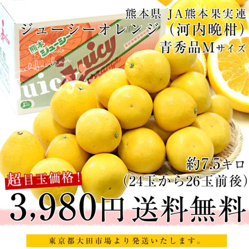 熊本県 JA熊本果実連 ジューシーオレンジ（河内晩柑） Mサイズ 青秀品