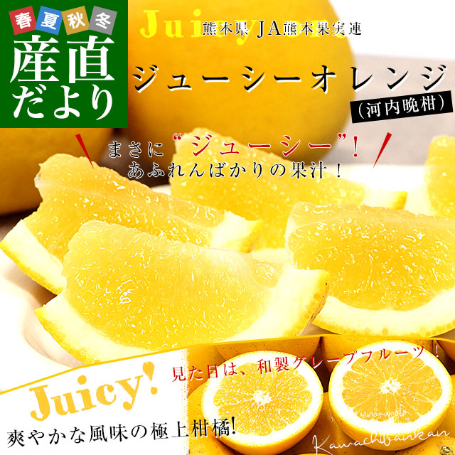熊本県 JA熊本果実連 ジューシーオレンジ（河内晩柑） Mサイズ 青秀品