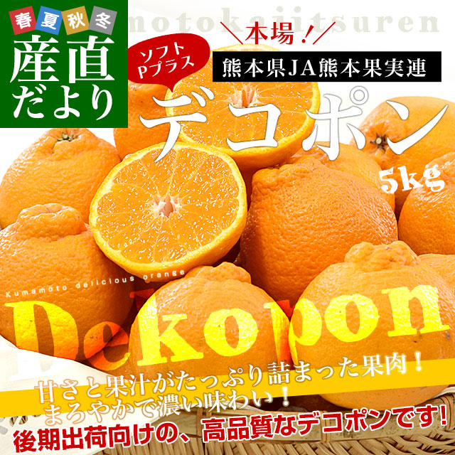 熊本県産　デコポン　15〜24玉　約5kg 袋入り 本貯蔵デコポン しらぬい 約5kg 15～24玉 熊本県産 贈答規格 JA