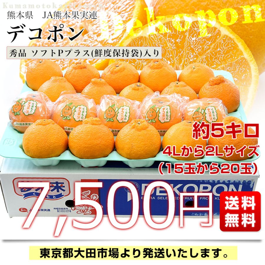 熊本県 JA熊本果実連 デコポン 4Lから2Lサイズ 約5キロ(15玉から20玉