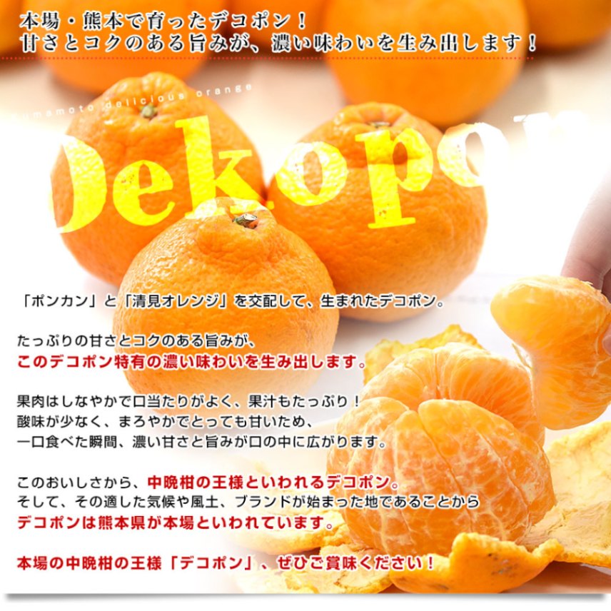 熊本県 JA熊本果実連 デコポン 4Lから2Lサイズ 約5キロ(15玉から20玉