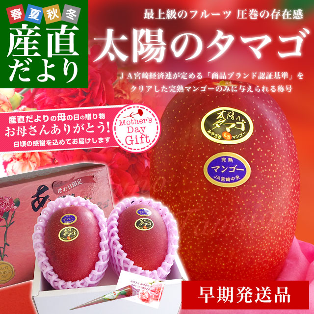 母の日ギフト 4月発送品 宮崎県より産地直送 JAみやざき 宮崎中央地区