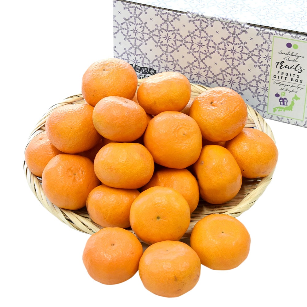 マンダリン 愛媛県産 JAえひめ中央 中島のカラマンダリン 青秀品 Mサイズ 約2.8