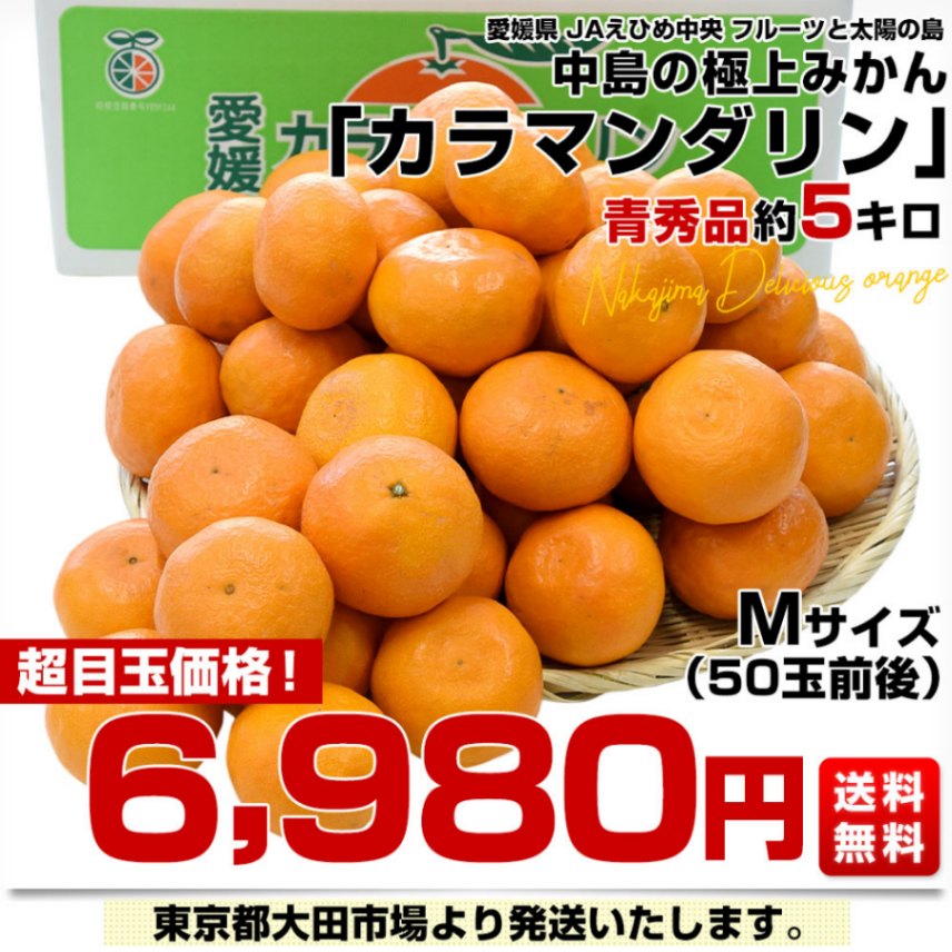 愛媛県産 JAえひめ中央 中島のカラマンダリン 青秀品 Mサイズ 約5キロ