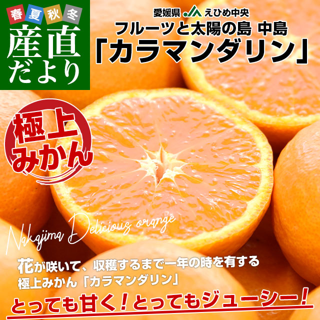 定番人気！濃厚ジュ〜シ〜！愛媛県産【カラマンダリン】赤秀品 3L 約5kg×２箱 みかん カラマンダリン 赤秀品 S〜Lサイズ 5kg JAえひめ中央