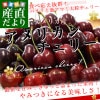 ꥫ ꥫ꡼ γ10R10.5R 800g200g4ѥå ̵ ꡼  