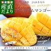 츩껺ľ JAʤ ץߥޥ󥴡 ֽ 3L2L 700gʾ (2) ̵ ޥ󥴡 åץޥ󥴡 ե ƥե 渵 渵