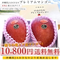 Sakura Shop【大きめサイズ】摘果マンゴー　10kg 送料無料 Sakura Shop様 専用【大きめサイズ】摘果マンゴー 10kg 送料無料
