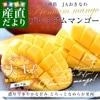 츩껺ľ JAʤ ץߥޥ󥴡 ֽ 3L2L 1.5 (3̤4) ̵ ޥ󥴡 åץޥ󥴡 ե ƥե 渵 渵