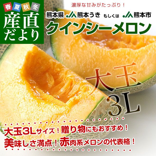 ܸ JAܤJAܻ 󥷡  3L ʡ2.5 2 ̵   