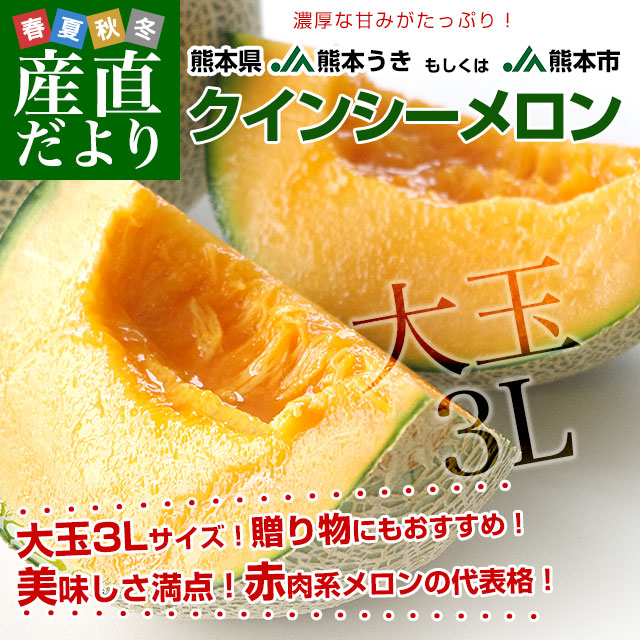 熊本県産 JA熊本うき又はJA熊本市 クインシーメロン 大玉 3Lサイズ 秀