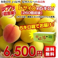 和歌山県産 JA紀州 みなべの南高梅 Lサイズ 訳アリ（雹害果） 約5キロ