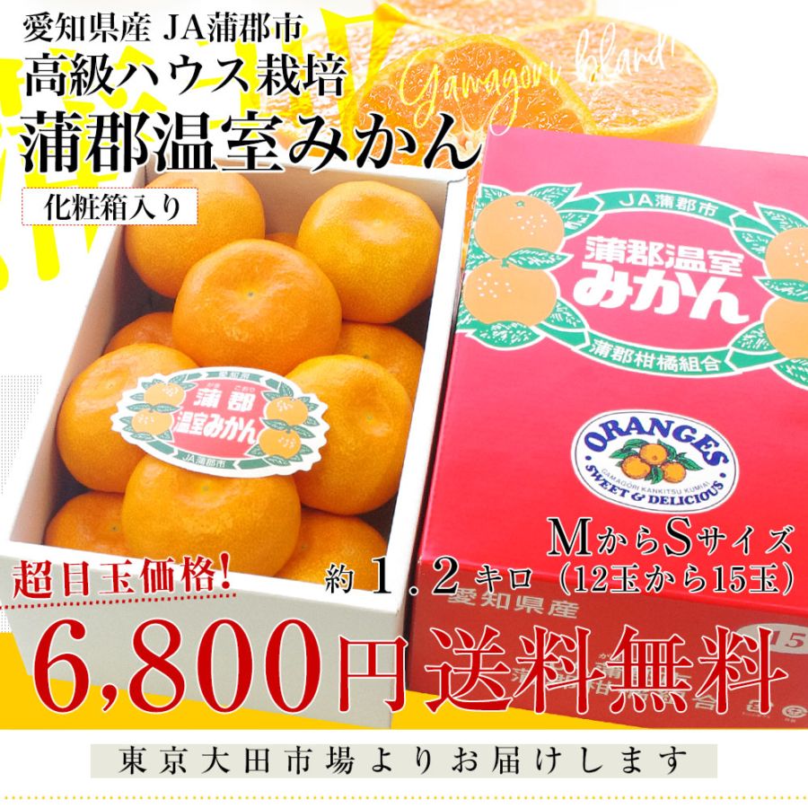 愛知県産 蒲郡温室みかん MからSサイズ 1.2キロ化粧箱 （12玉から15玉