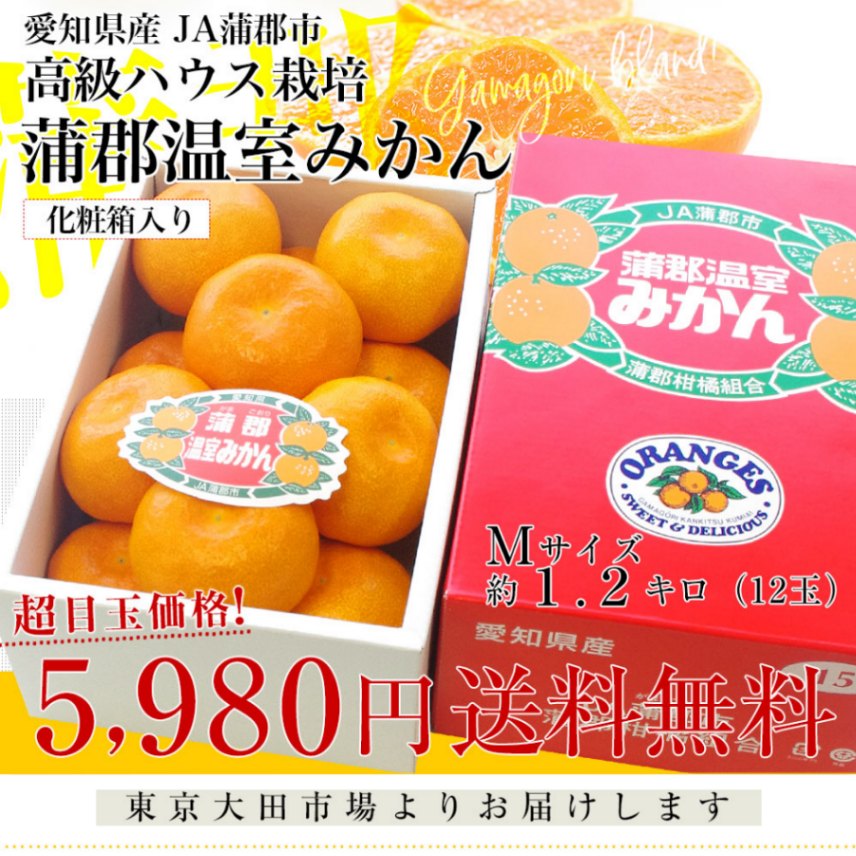 ２枚。Mee❤みかん❤１枚限定⭐中肉暖か☆Wボア❤シングルお布団❤橙 愛知県産 蒲郡温室みかん Mサイズ 1.2キロ化粧箱 (12玉入り) 送料無料