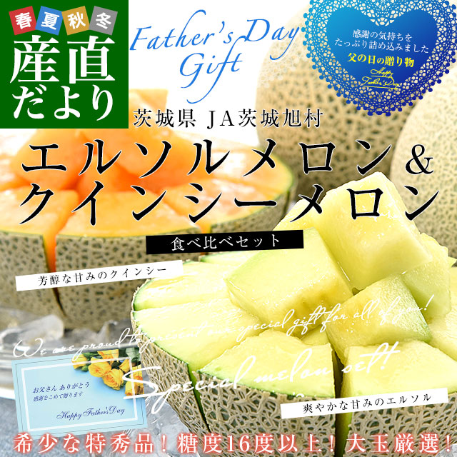 遅れてごめんね父の日ギフト】茨城県産 JA茨城旭村 エルソルメロン