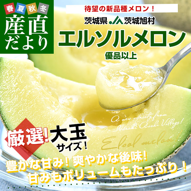 茨城県産 JA茨城旭村 エルソルメロン 優品以上 大玉 4Lから3L