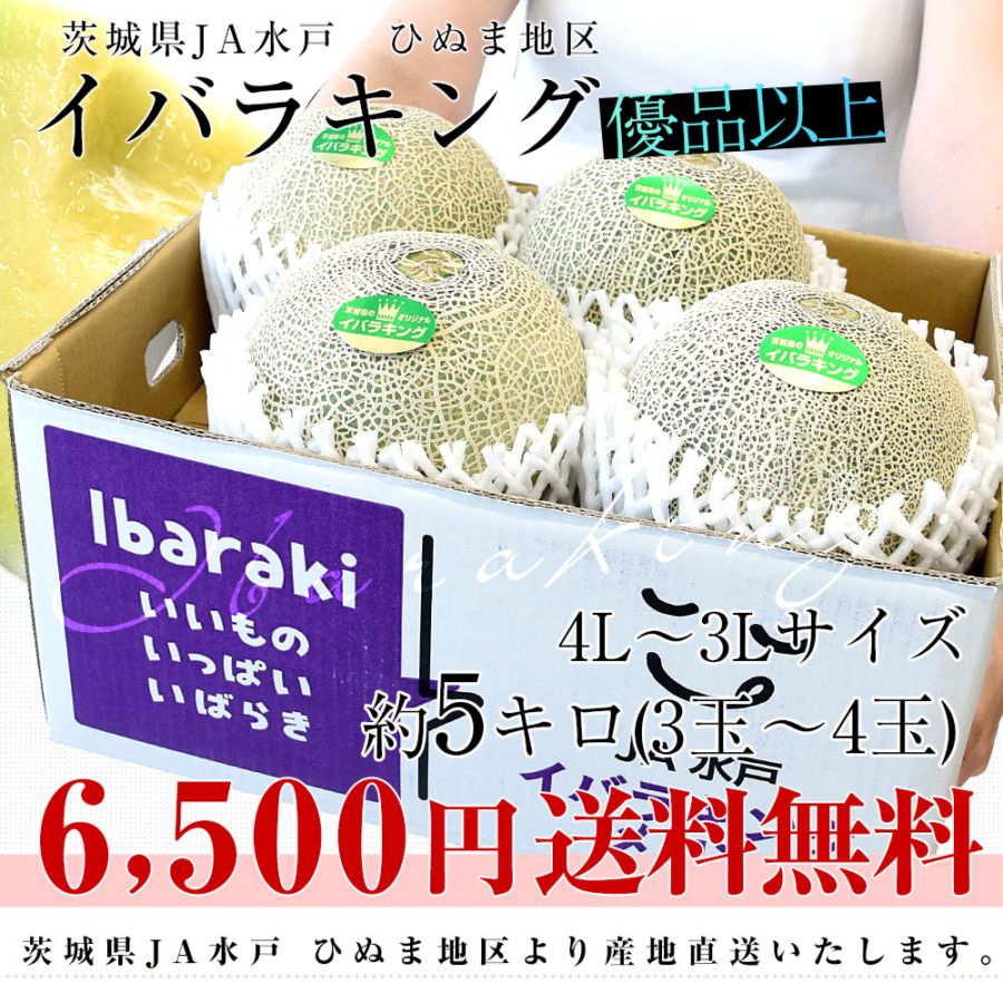 茨城県より産地直送 JA水戸 ひぬま地区 イバラキング 優品以上 約5キロ