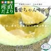 ��븩��껺��ľ�� JA��͡��Ҥ̤��϶� �Ǿ������� ������󥤥Х饭�󥰥���� 4L����3L������ ��5���� (3�̤���4��) ����̵�� ����� �����