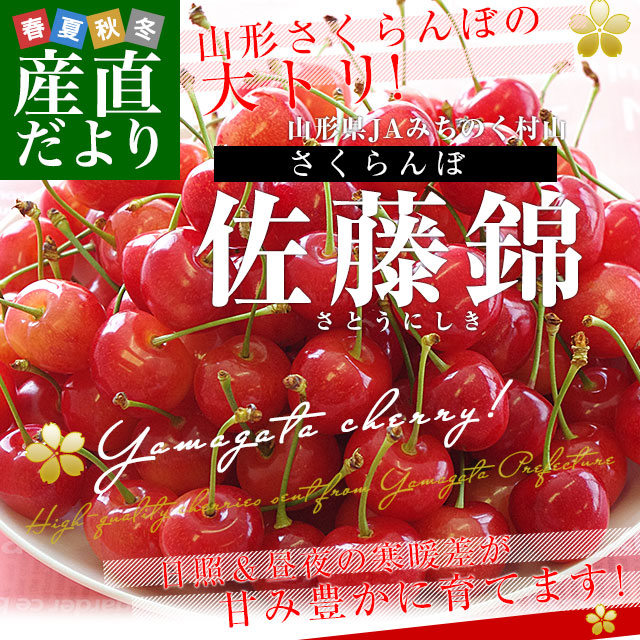 山形県産 JAみちのく村山 さくらんぼ 佐藤錦 マル秀品 Mサイズ