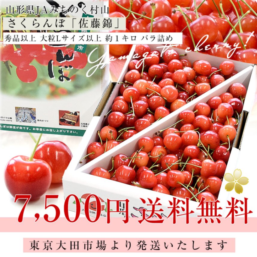 山形県産 JAみちのく村山 さくらんぼ 佐藤錦 秀品以上 大粒Lサイズ以上
