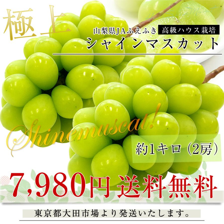 山梨産 JAふえふき 高級ハウス栽培 シャインマスカット 約1キロ