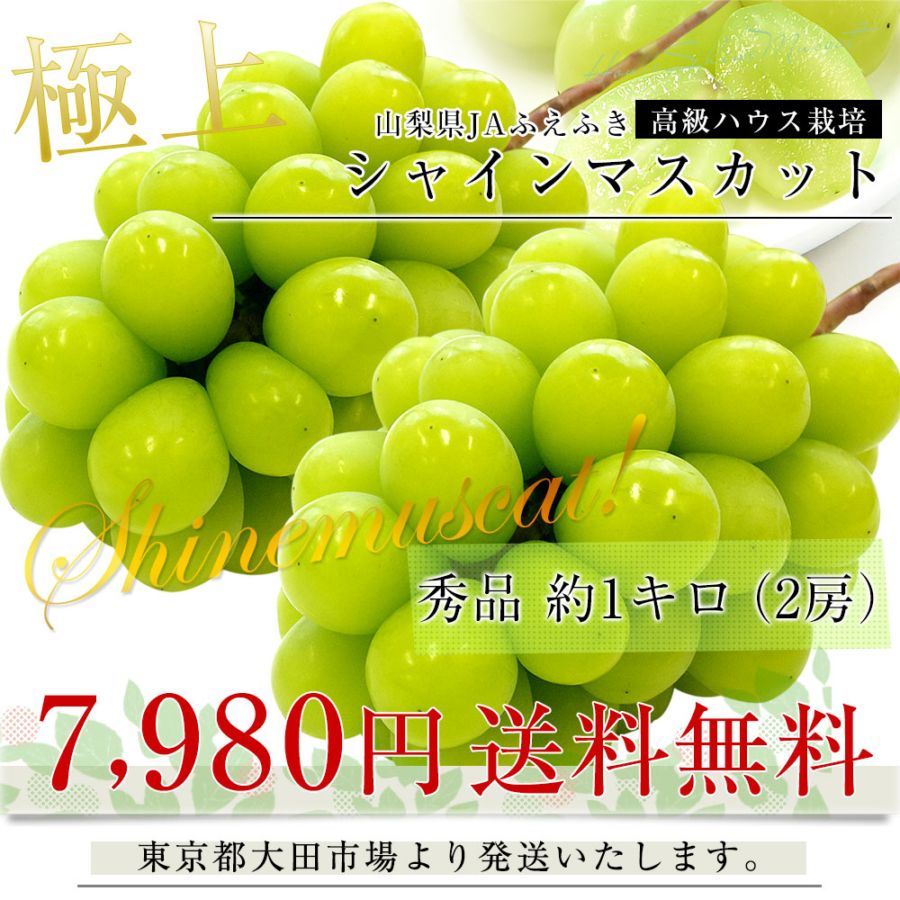 お中元・夏ギフト】山梨産 JAふえふき 高級ハウス栽培 シャイン