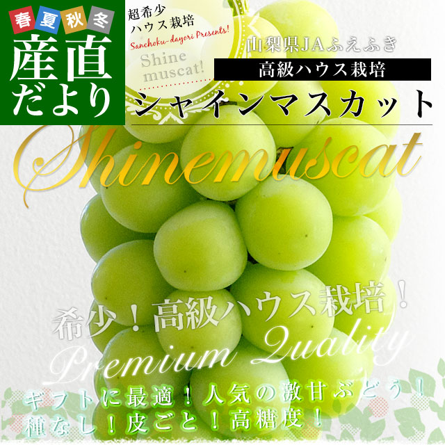 山梨産 JAふえふき 高級ハウス栽培 シャインマスカット 約1キロ（2房