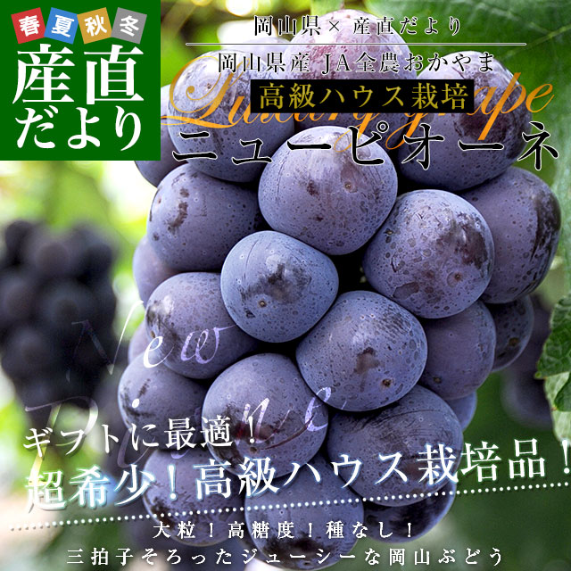 岡山県産 JA全農おかやま 高級ハウス栽培 ニューピオーネ 青秀品以上