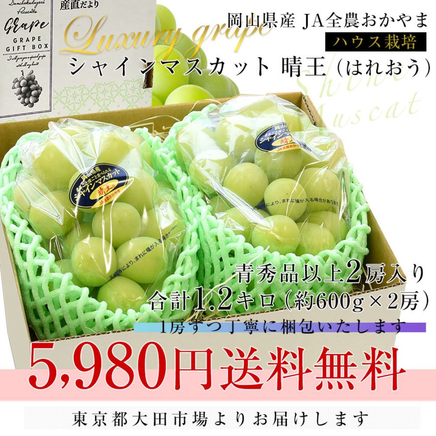 岡山県産JA全農おかやま ハウス栽培 シャインマスカット 晴王 青