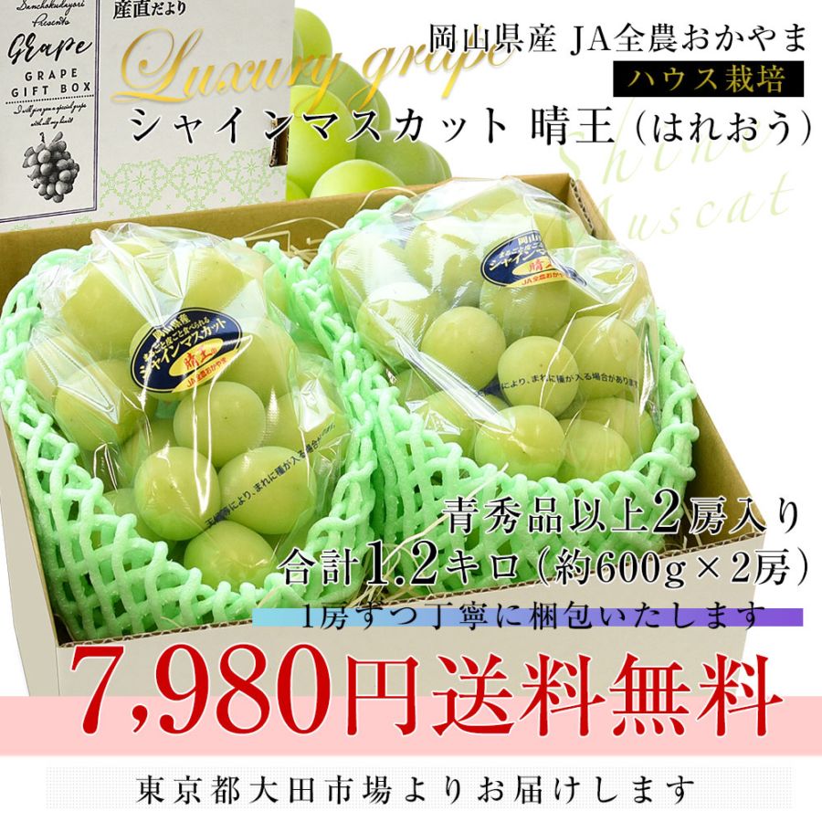 お中元・夏ギフト】岡山県産 JA全農おかやま 高級ハウス栽培 シャイン