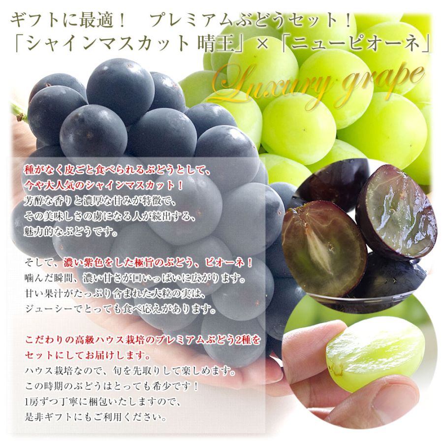香川県産【シャインマスカット】秀品6房5kg+【ニューピオーネ】6房5kg 香川県産 シャインマスカット 秀品 6〜7房入り（箱） : 生鮮卸売