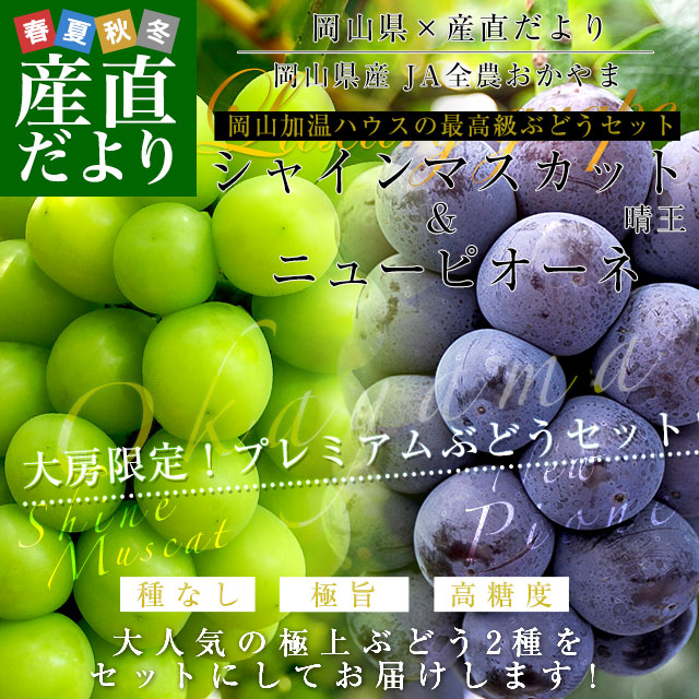 大量入荷の為、衝撃超お得価格！！岡山県産【ニューピオーネ】優品7房 5kg 岡山県産 JA全農おかやま 高級ハウス栽培 シャインマスカット