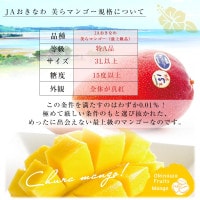 chiko　最高級沖縄フルーツ！7000円セット　送料込み chiko 最高級沖縄フルーツ！7000円セット 送料込み 西播磨