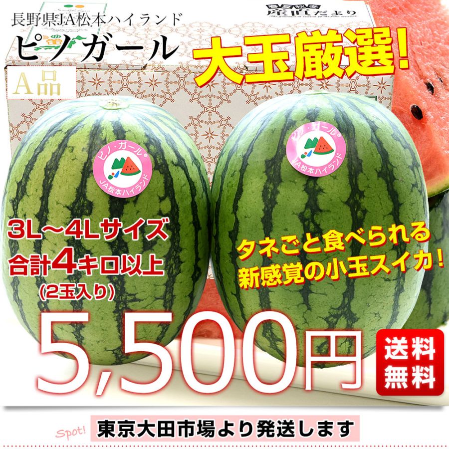 長野県産 JA松本ハイランド ピノガール (小玉スイカ) A品 3Lから4L