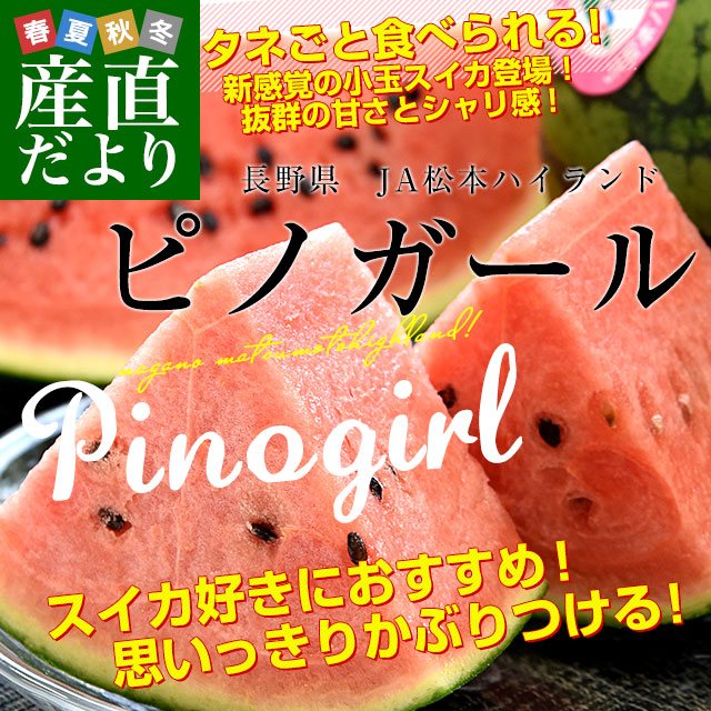 長野県産 JA松本ハイランド ピノガール (小玉スイカ) A品 3Lから