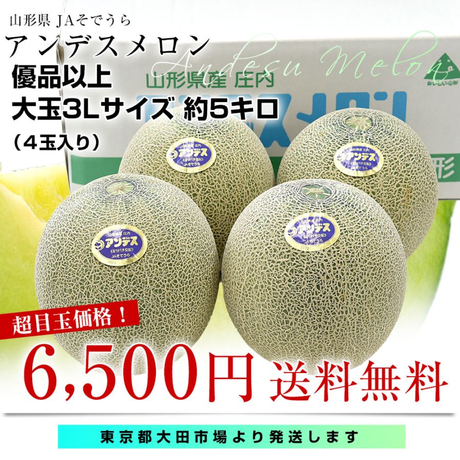 ゆうひ・おおぞら3542　静岡アールスメロン4玉 ゆうひ・おおぞら3542 静岡アールスメロン4玉 アールスメロン 約
