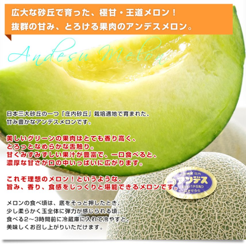 山形県産 JAそでうら アンデスメロン 優品以上 大玉3Lサイズ 約5キロ