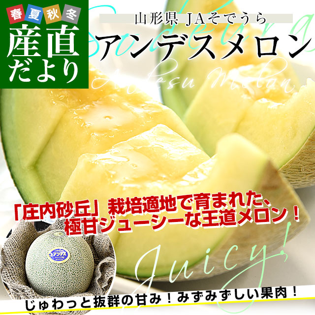 メロン ベルファームつくば ＞ 搾りたて メロンジュース 100% 100g × 15パック