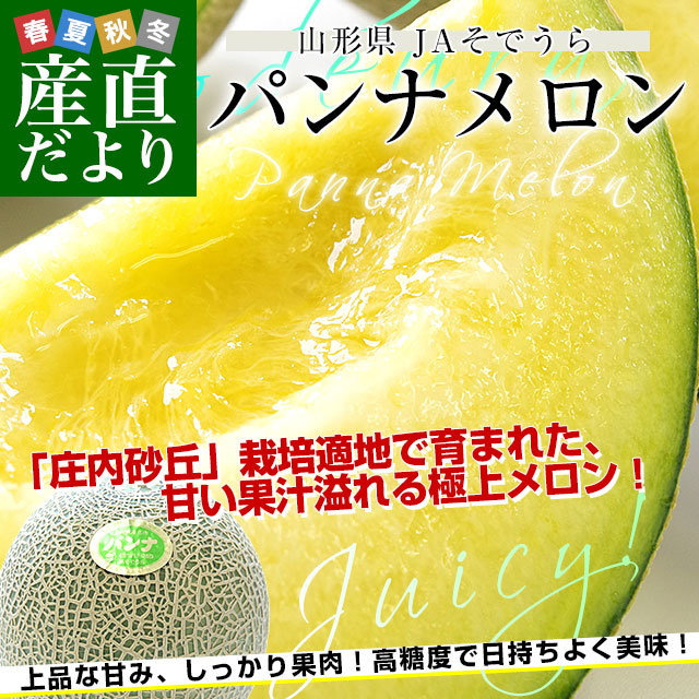 山形県産 JAそでうら パンナメロン 優品以上 大玉3Lサイズ 約5キロ（4
