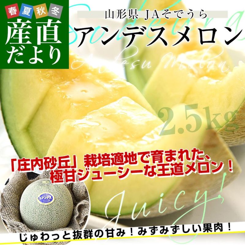 ������ JA���Ǥ��� ����ǥ������ ͥ�ʰʾ� ���3L������ ��2.5������2������� ����̵�� ����� ����� ���ե� �ƥ��ե� ���渵 ���渵