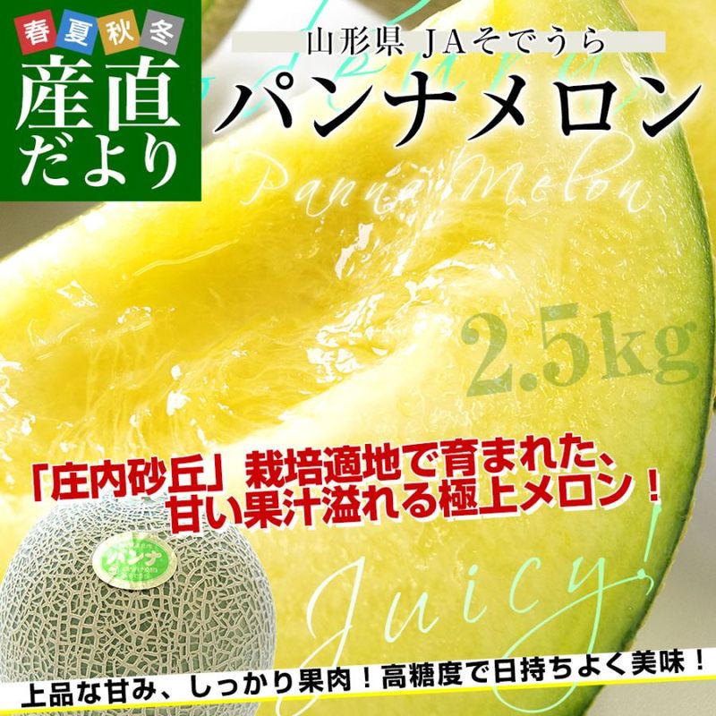 �������� JA���Ǥ��� �ѥ�ʥ���� ͥ�ʰʾ� ���3L������ ��2.5������2�����������̵�� ����� �����  ���ե� �ƥ��ե� ���渵 