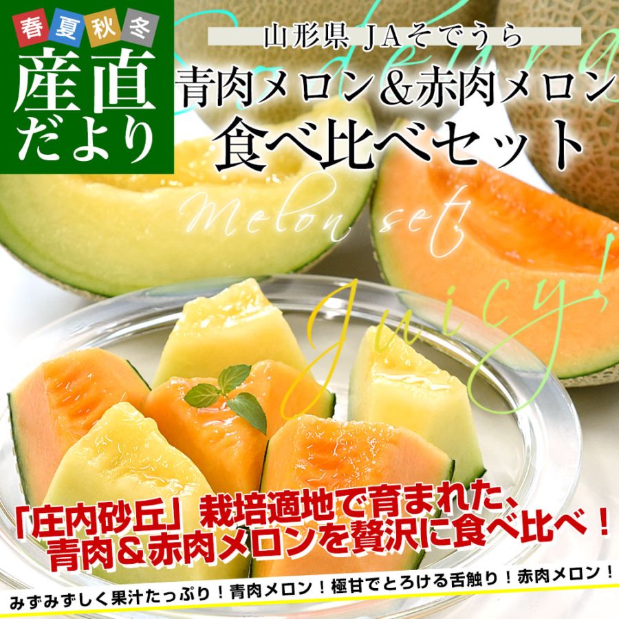山形県産 JAそでうら 青肉メロン＆赤肉メロン 食べ比べセット 優品以上
