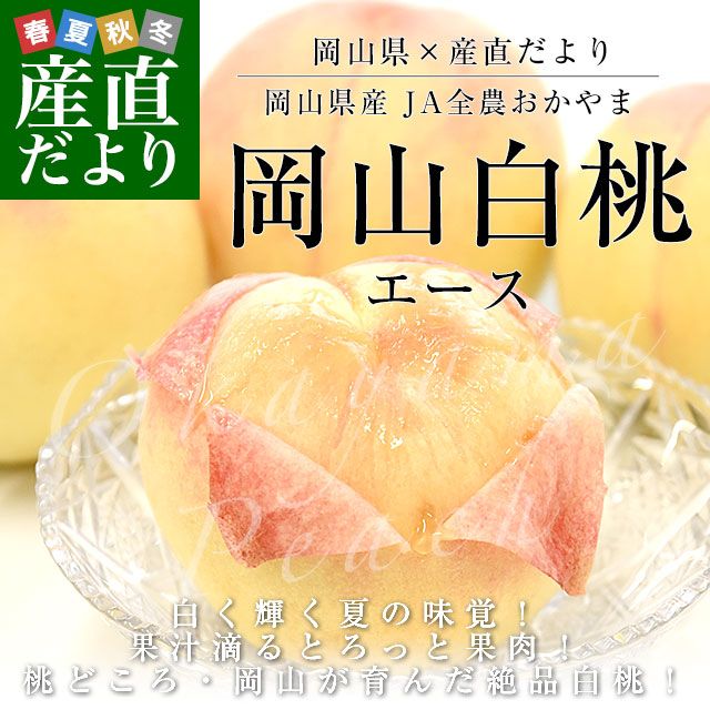 規格外　岡山　白桃　11/25出品1　2セット 岡山県 JA全農おかやま 岡山白桃 等級：エース 約1.7キロ（6玉）送料