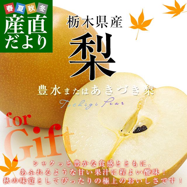 【中古】 二十世紀の梨と真実/実業之日本社/えのきどいちろう 中古】 二十世紀の梨と真実/実業之日本社/えのきどいちろう